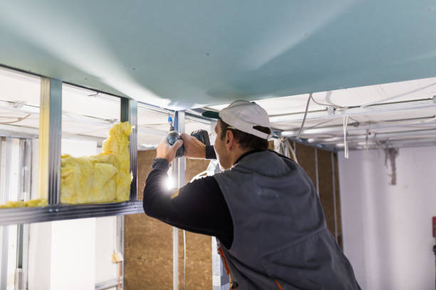 Best Best Insulation Companies  in Dilley, TX