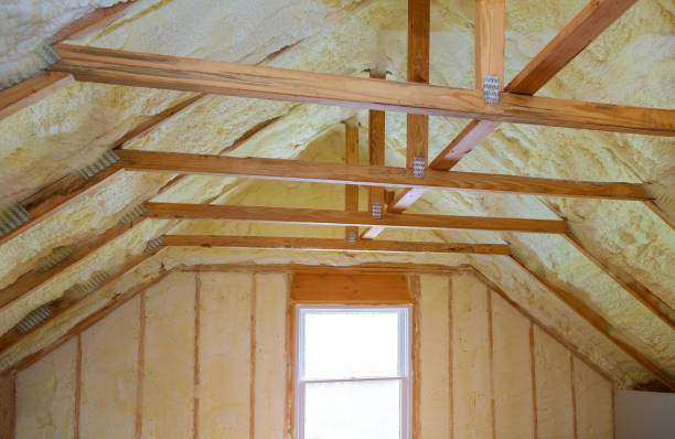 Best Garage Insulation Installation  in Dilley, TX