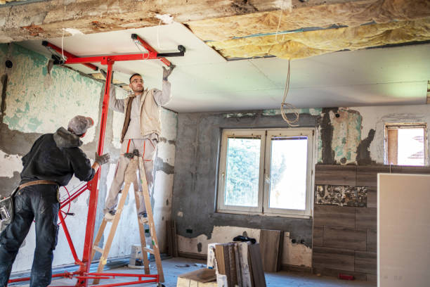 Best Insulation Contractor Near Me  in Dilley, TX