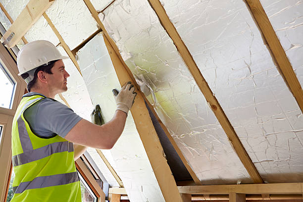 Best Soundproof Insulation Installation  in Dilley, TX