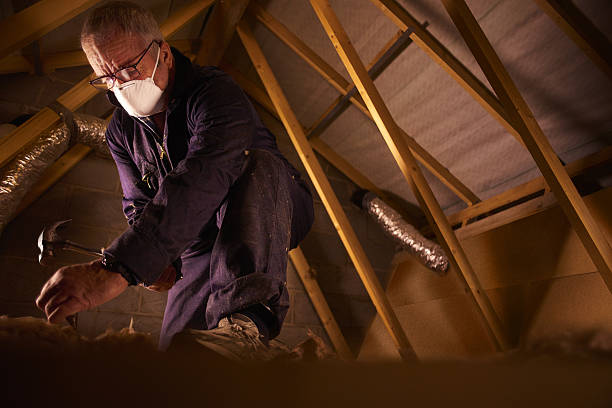 Best Insulation Inspection Services  in Dilley, TX